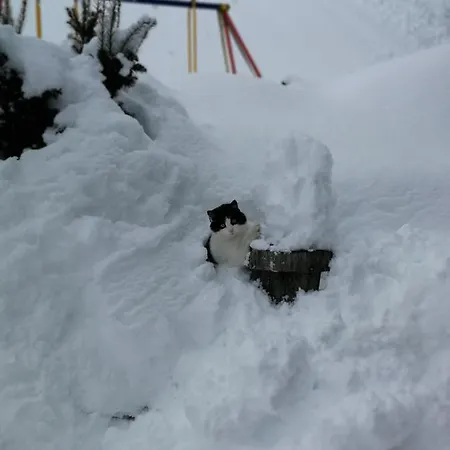 Κατάλυμα σε φάρμα Bauernhof Bethuber *