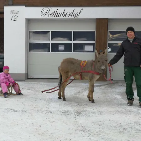 Bauernhof Bethuber Farm stay Matrei in Osttirol