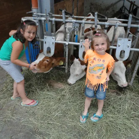 Bauernhof Bethuber * Matrei in Osttirol