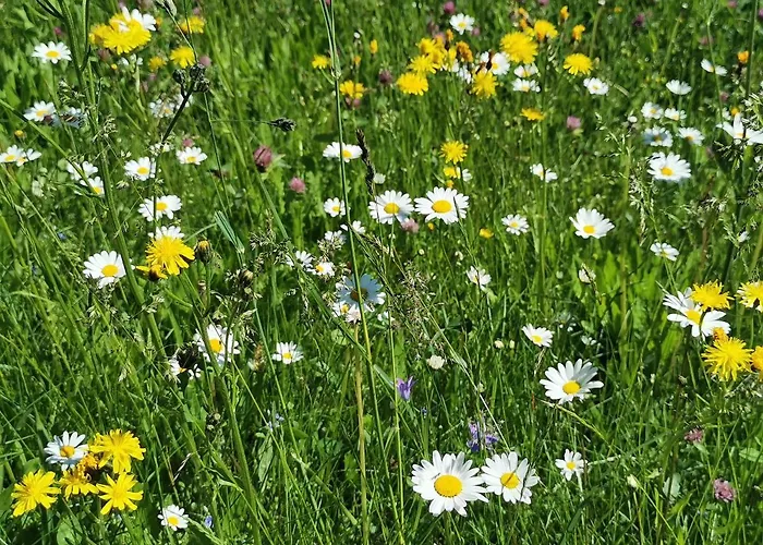 Bauernhof Bethuber Alojamento de Turismo Rural *