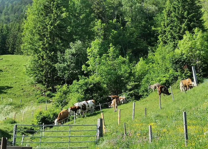 Farm stay Bauernhof Bethuber Matrei in Osttirol