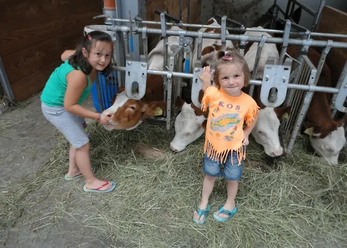 Bauernhof Bethuber * Matrei in Osttirol