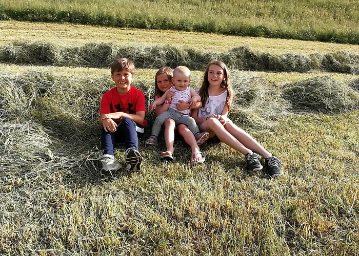 Bauernhof Bethuber Farm stay