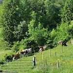 Çiftlik konaklama Bauernhof Bethuber Matrei in Osttirol
