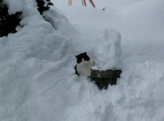 مزرعة للإقامة Bauernhof Bethuber *